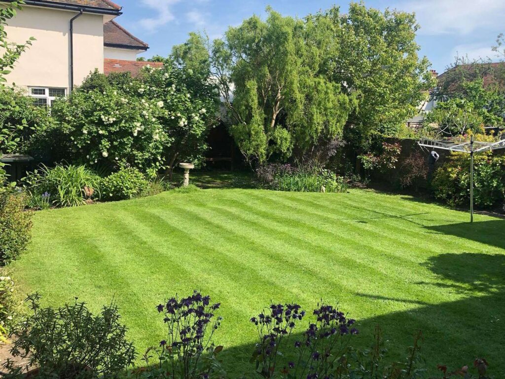 gardening services (1)